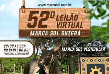 52º LEILÃO VIRTUAL MARCA SOL GUZERÁ